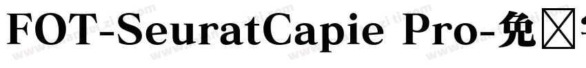 FOT-SeuratCapie Pro字体转换